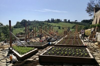 29038804-bb54-489e-b996-11b39aa53d38 2