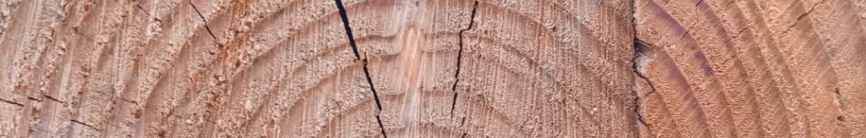 80097d3b-4db5-4490-a6ce-766c6b353f54