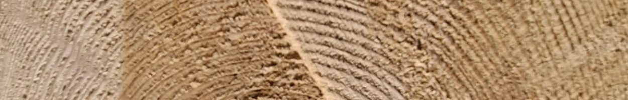 8b0c03c5-ff45-4946-9bbd-30ac1212eab5