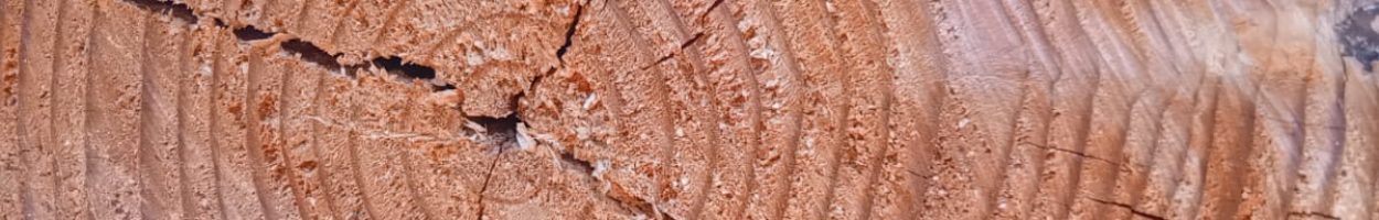 8e2c2268-bdfd-4fc1-a57a-f1274f1a4ed5