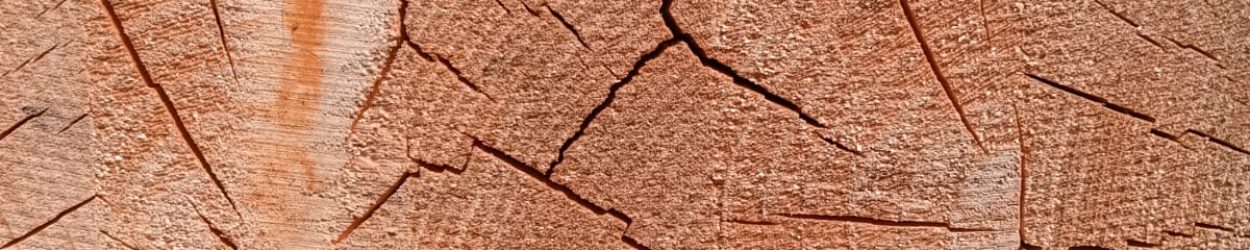 98373022-f522-4fe2-a73a-49422b0d3668