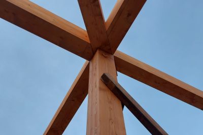 a38ac2d8-51a9-4700-b642-5471539b6297 2