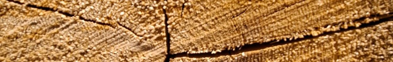 ce9e9e2f-708d-41f6-af21-166e50234add