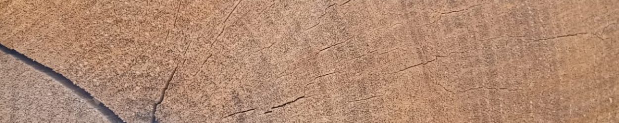 f675f5d3-82f8-479c-a957-63b3ed3cb889